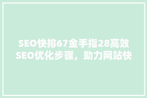 SEO快排67金手指28高效SEO优化步骤，助力网站快速提升排名