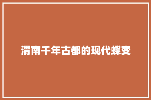 渭南千年古都的现代蝶变