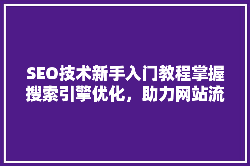 SEO技术新手入门教程掌握搜索引擎优化，助力网站流量提升