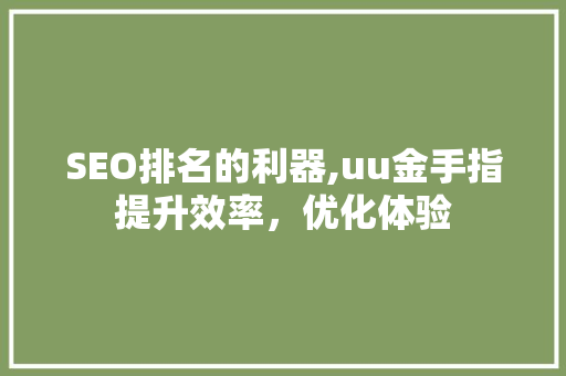 SEO排名的利器,uu金手指提升效率，优化体验
