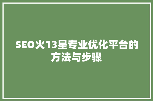 SEO火13星专业优化平台的方法与步骤