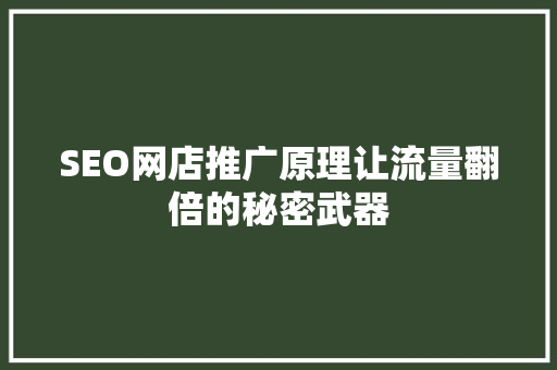 SEO网店推广原理让流量翻倍的秘密武器