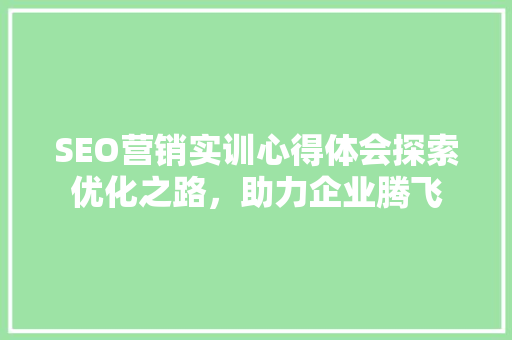 SEO营销实训心得体会探索优化之路，助力企业腾飞