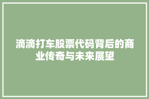 滴滴打车股票代码背后的商业传奇与未来展望