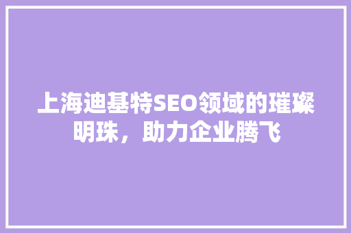 上海迪基特SEO领域的璀璨明珠，助力企业腾飞