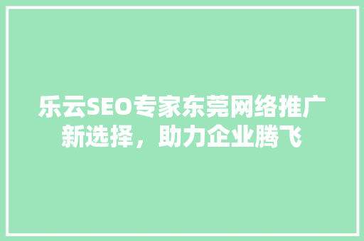 乐云SEO专家东莞网络推广新选择，助力企业腾飞