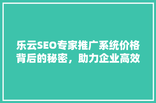 乐云SEO专家推广系统价格背后的秘密，助力企业高效推广