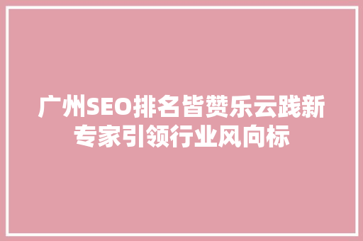 广州SEO排名皆赞乐云践新专家引领行业风向标