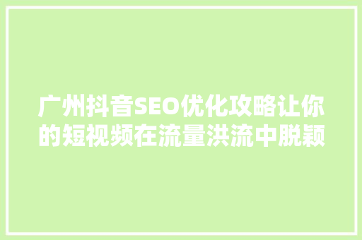 广州抖音SEO优化攻略让你的短视频在流量洪流中脱颖而出
