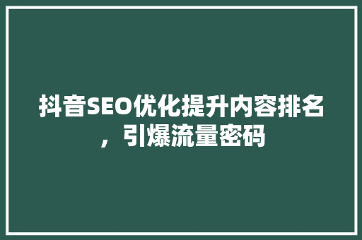 抖音SEO优化提升内容排名，引爆流量密码