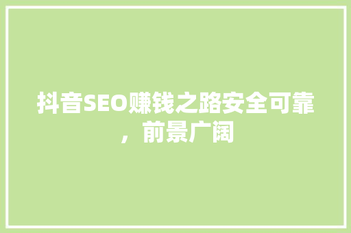抖音SEO赚钱之路安全可靠，前景广阔