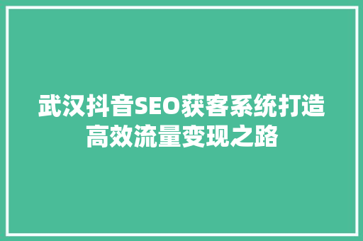 武汉抖音SEO获客系统打造高效流量变现之路
