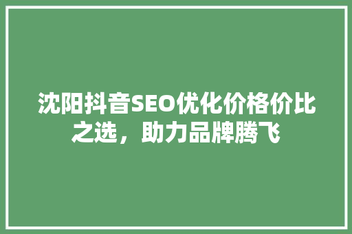 沈阳抖音SEO优化价格价比之选，助力品牌腾飞