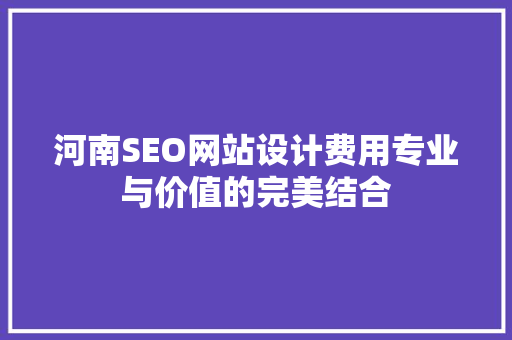 河南SEO网站设计费用专业与价值的完美结合