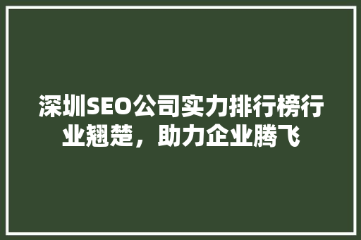 深圳SEO公司实力排行榜行业翘楚，助力企业腾飞
