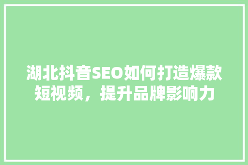湖北抖音SEO如何打造爆款短视频，提升品牌影响力