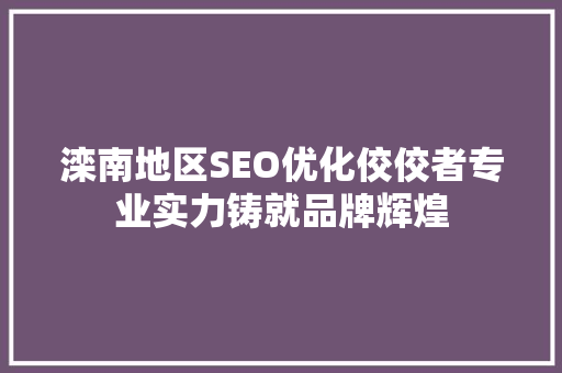 滦南地区SEO优化佼佼者专业实力铸就品牌辉煌