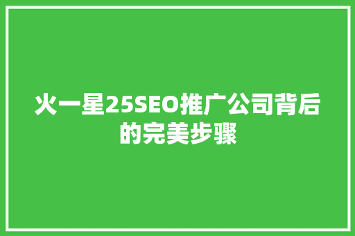 火一星25SEO推广公司背后的完美步骤
