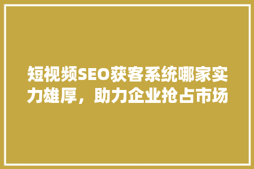 短视频SEO获客系统哪家实力雄厚，助力企业抢占市场先机