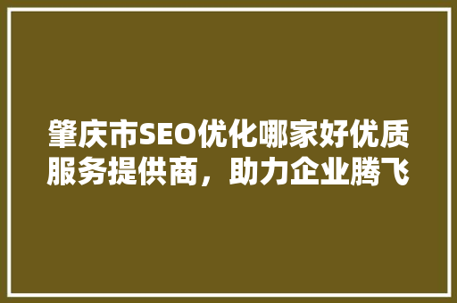 肇庆市SEO优化哪家好优质服务提供商，助力企业腾飞