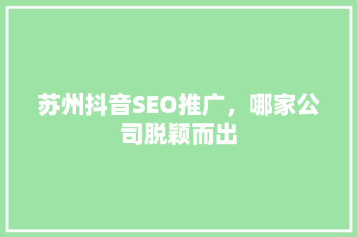 苏州抖音SEO推广，哪家公司脱颖而出