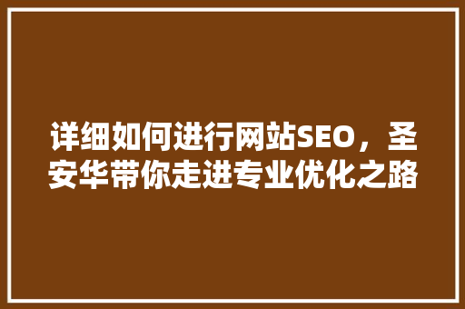 详细如何进行网站SEO，圣安华带你走进专业优化之路