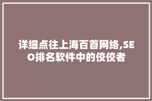 详细点往上海百首网络,SEO排名软件中的佼佼者