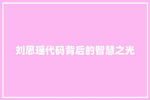 刘思瑶代码背后的智慧之光