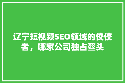 辽宁短视频SEO领域的佼佼者，哪家公司独占鳌头  第1张