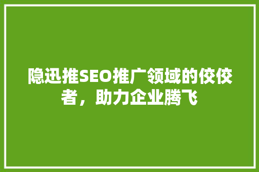 隐迅推SEO推广领域的佼佼者，助力企业腾飞