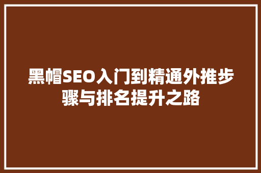 黑帽SEO入门到精通外推步骤与排名提升之路