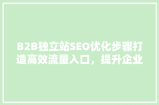 B2B独立站SEO优化步骤打造高效流量入口，提升企业竞争力