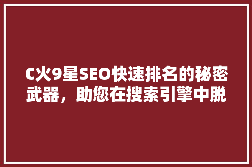 C火9星SEO快速排名的秘密武器，助您在搜索引擎中脱颖而出