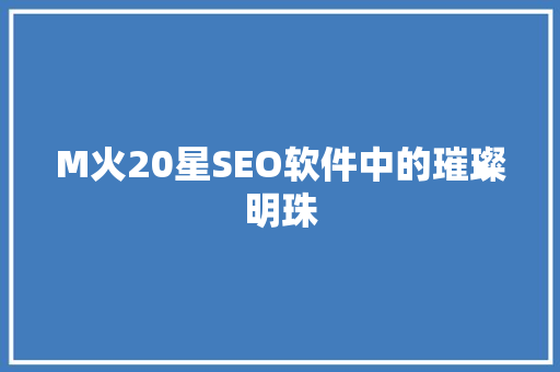 M火20星SEO软件中的璀璨明珠