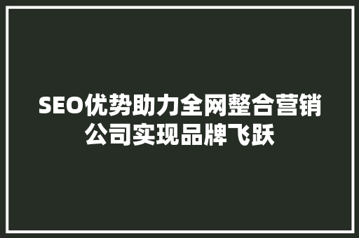 SEO优势助力全网整合营销公司实现品牌飞跃  第1张