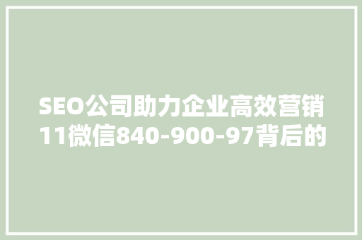SEO公司助力企业高效营销11微信840-900-97背后的步骤与价值
