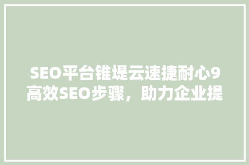 SEO平台锥堤云速捷耐心9高效SEO步骤，助力企业提升网络竞争力