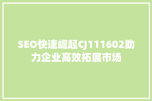 SEO快速崛起CJ111602助力企业高效拓展市场