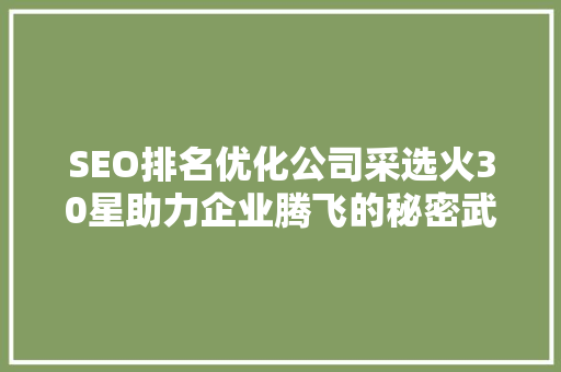 SEO排名优化公司采选火30星助力企业腾飞的秘密武器