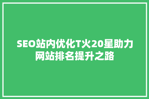 SEO站内优化T火20星助力网站排名提升之路