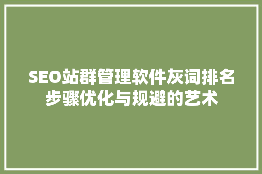 SEO站群管理软件灰词排名步骤优化与规避的艺术