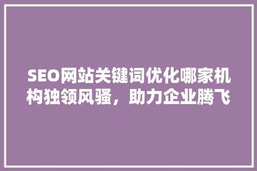 SEO网站关键词优化哪家机构独领风骚，助力企业腾飞