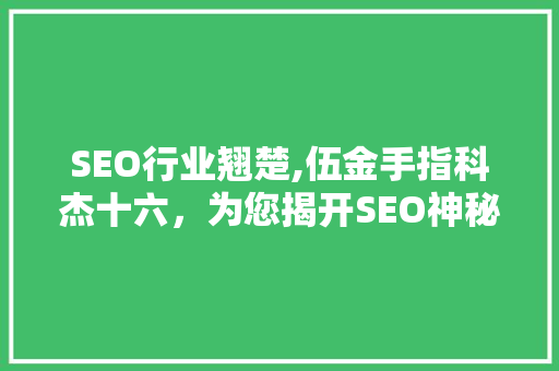 SEO行业翘楚,伍金手指科杰十六，为您揭开SEO神秘面纱