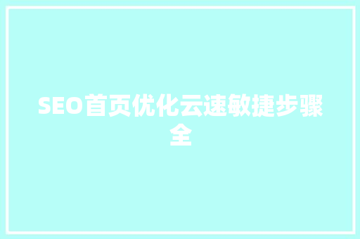 SEO首页优化云速敏捷步骤全
