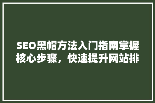 SEO黑帽方法入门指南掌握核心步骤，快速提升网站排名