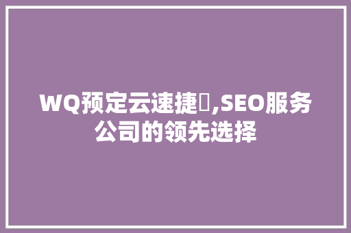 WQ预定云速捷乚,SEO服务公司的领先选择