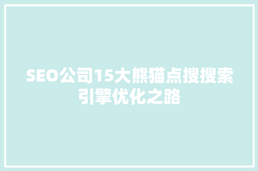 SEO公司15大熊猫点搜搜索引擎优化之路  第1张