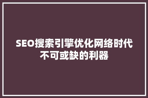 SEO搜索引擎优化网络时代不可或缺的利器