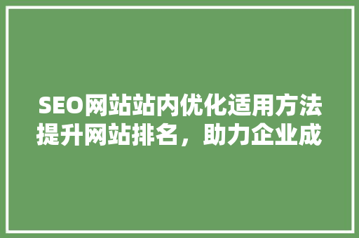 SEO网站站内优化适用方法提升网站排名，助力企业成长