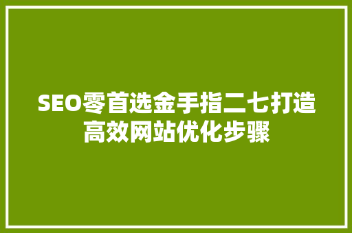 SEO零首选金手指二七打造高效网站优化步骤